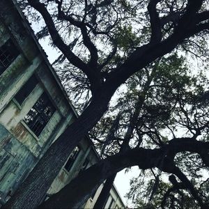 Meet your Posher, Toby